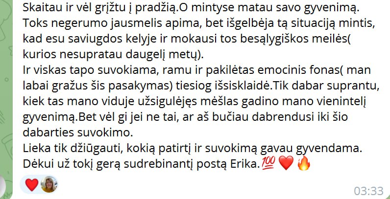 Atsiliepimas apie nemokamą diagnostinį pokalbį su Erika Karta